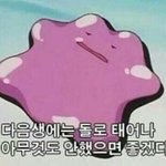 판녀들 다 나같아서 <b>신남</b>