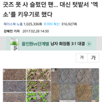 [EXO] 굿즈못사 슬펐던 팬..대신 <b>텃밭</b>서 엑소를 키우기로했다