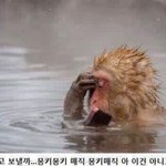 [드루와] 내일 <b>써클</b>렌즈끼는사람ㅁ