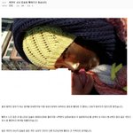아 ㅅㅂ 조카 드럽다