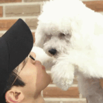 [EXO] 엑소 응원 떼창 모음 (더 추가함)