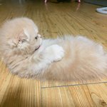 [시우민] <b>세상</b> 귀여운건 다 민석이로 보여 @A@