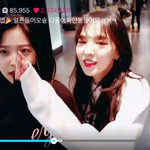 [EXO] 다들 들어와봐 백현 탱 이야기임