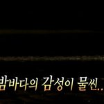 얘드라 내일 좀 꿀팁