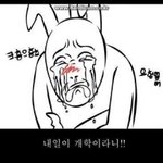 [드루와] 너넨 문이과비율 <b>몇임</b>?