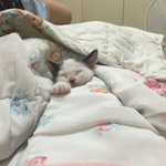 [EXO] 사진작작올리고 올리는것들 <b>무시해</b>