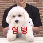 [EXO] 잠안<b>오네</b> 씨부리
