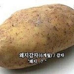 셀카 <b>자세</b> ㅊㅊ좀