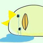 오늘 <b>입학</b>하는데 현타온다