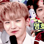 [세븐틴] ㅅㄷ이번<b>학번</b>