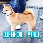[댓글부탁해] 반배정 햇망망^^