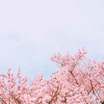 [댓글부탁해] <b>하교</b>하는게 너무 무서워..