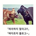 나 작년 고1 새학기엔 담임이 신의<b>한수</b>였음
