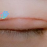 <b>쌍수</b> <b>라인</b>