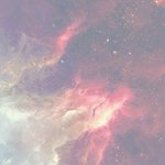 [꼭조언부탁] <b>수의사</b> 전망 괜찮나요?
