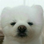 슬퍼죽겠는데 그거 몰라주는게 조올라 서러운거 같따 ㅠㅠ