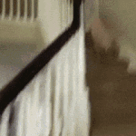 [드루와] 혼자 다니면서 가장 <b>뻘쭘</b>한 순간