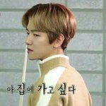 [EXO] 학교에 갔더니 반 친구들이 모두 엑톡련이라면? 1화