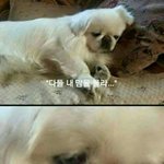 [조언부탁해] 진짜죽고싶다.. 새학기라서그런걸까