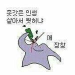 아 학교가기 싫다 ㅅㅂ