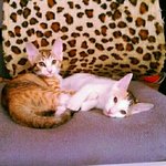 [쁘니단비] 쁘니 <b>단비</b>는 바닥도 좋아요~^^