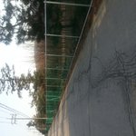 [EXO] <b>울</b><b>집강</b><b>쥐</b>보려 여기까지옴