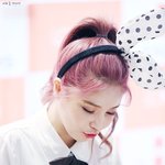 새로 염색한 <b>솔라</b>