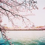 우리 다 <b>위로</b>해주고가자