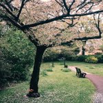 [19] 나 대박 소름돋는 꿈 꿨어;;;