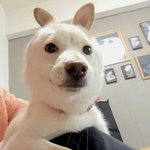 [ㅋㅋㅋㅋㅋ] 확실히 반톡은 쌤이 <b>주최</b>하는게 좋음