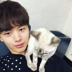 [<b>육성</b>재조이] 뎨별 업뎃