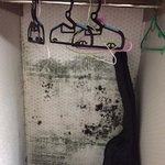 [개깊은빡침] +후기)옷장곰팡이때문에 세탁비10만원이나 나왔습니다...