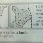 내친구네반쌤<b>미침</b>
