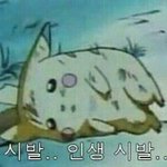 [ㅋㅋㅋㅋㅋ] 지금 내<b>심정</b>인 짤들ㅋㅋㅋㅋㅋㅋ
