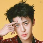 [EXO] 그래 이거였다