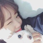 톡선올려주세요 부탁드려요 판 내에서 최유정까는이유