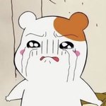 [조언부탁헤] 얘들아 <b>증사</b>있잖아