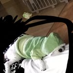 [EXO] 우리집개54) 발톱 아그작아<b>그작</b> 하고싶다 기여미