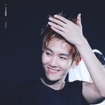 [백현] 백현이 <b>이마</b> 이만큼 !#!#
