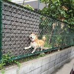 [댓글부탁해] 반 자리 어떻게 앉아?
