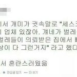 [조언부탁해] 어떡할지좀 알려줘 ㅈㄴ혼란스럽네