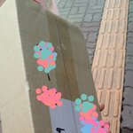 [EXO] 할짓없어서 갤러리구경하는데 에리디봉 처음<b>배송</b>왔을때