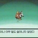 너넨 어떤애 <b>실장</b>으로뽑냐??