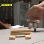 <b>문창</b>과 극작과 있는 대학 어디가 좋지