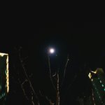 [EXO] 달 <b>존예</b>