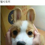 너네 3만원으로 가디건 두벌살래 신발살래?