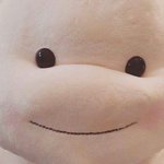 애들아 고양이목욕!!!