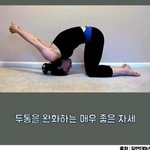 [댓글부탁해] 얘들아 나 ㅈㄴ어이없게 싸움ㅋㅋㅋㅋ;