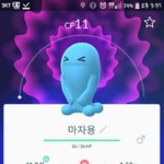 포켓몬고 <b>마자</b>용흔함?