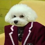 [EXO] 이거 급식<b>래퍼</b> 맠크 아니냐